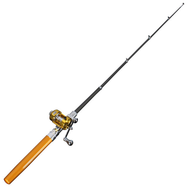 Mini portable fishing pole