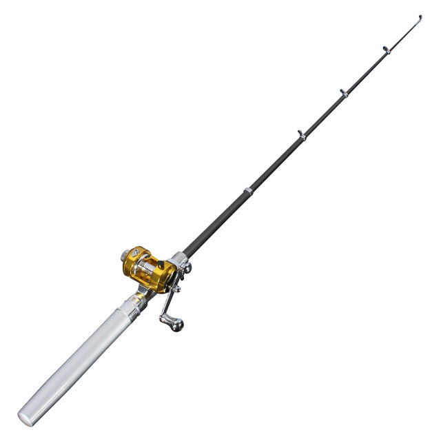 Mini portable fishing pole