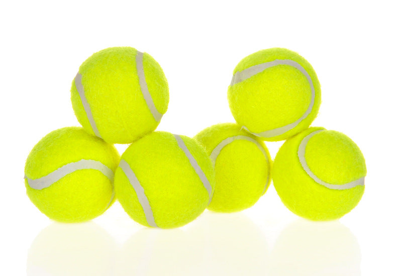 Huge Tennis Ball for Dogs