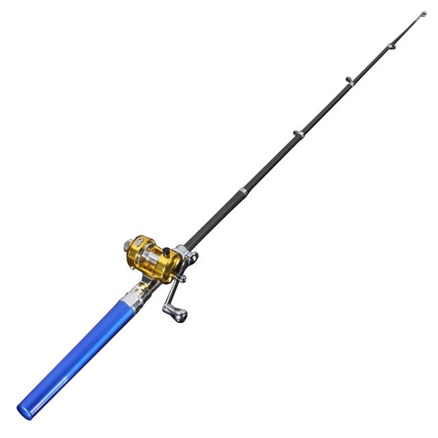 Mini portable fishing pole