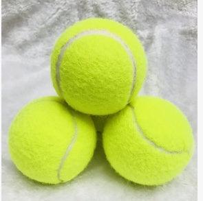 Huge Tennis Ball for Dogs