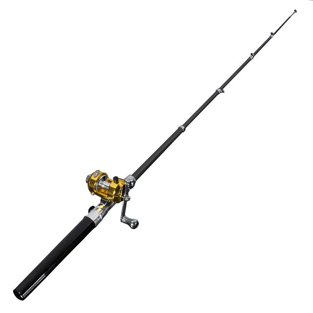 Mini portable fishing pole