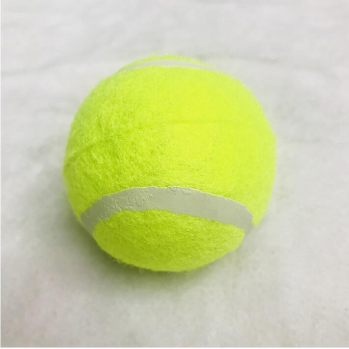 Huge Tennis Ball for Dogs