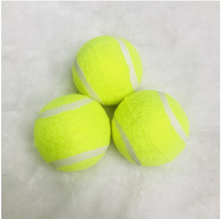 Huge Tennis Ball for Dogs