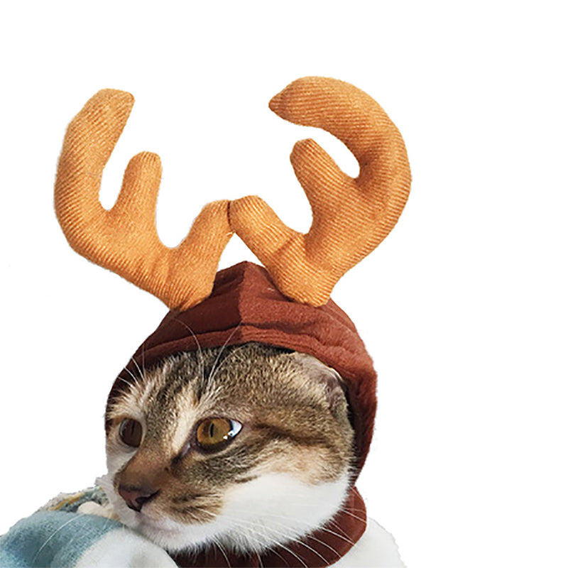 Pet Christmas Costume